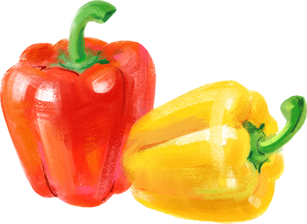 Acrylic gouache watercolor peppers vegetable illustration